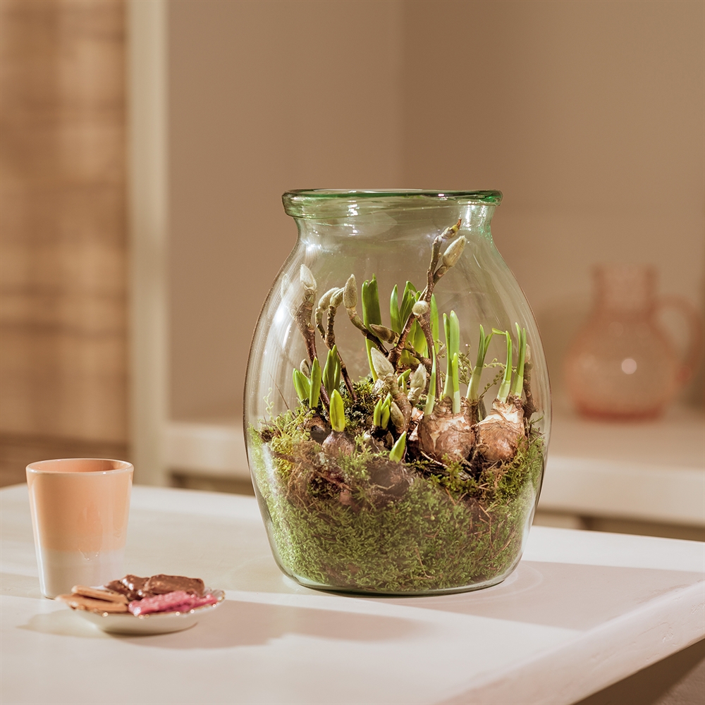 Bloembollen in grote vaas